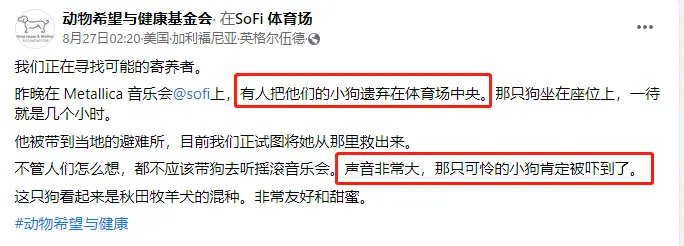 _演唱会中出现狗狗疑似被遗弃，全网痛骂主人，第二天反转无语：它自己来听摇滚的…_演唱会中出现狗狗疑似被遗弃，全网痛骂主人，第二天反转无语：它自己来听摇滚的…