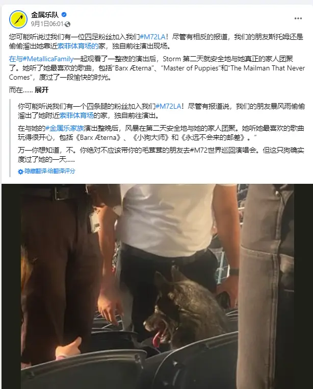 演唱会中出现狗狗疑似被遗弃，全网痛骂主人，第二天反转无语：它自己来听摇滚的…__演唱会中出现狗狗疑似被遗弃，全网痛骂主人，第二天反转无语：它自己来听摇滚的…