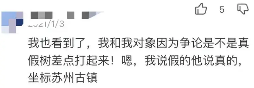 路边的假树是基站__通信基站伪装树高度